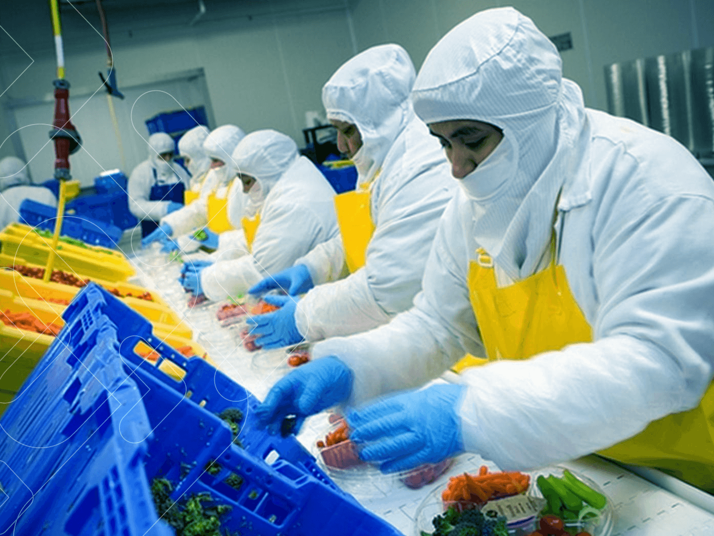 Imagem do Curso Operador de Processamento de Frutas e Hortaliças