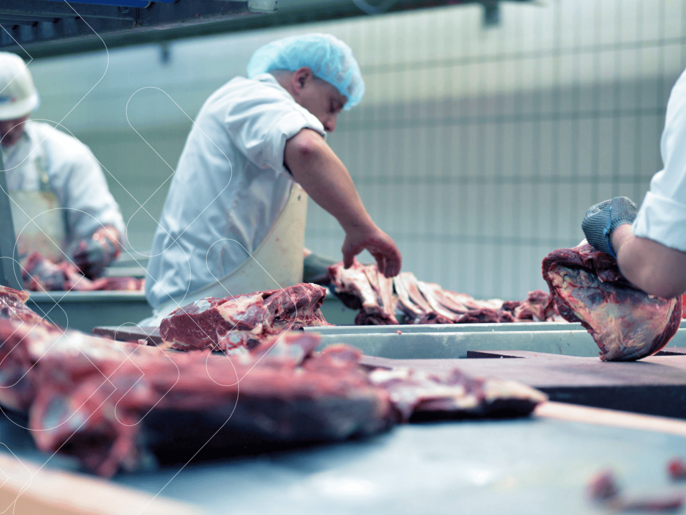 Imagem do Curso Operador de Processos de Produção de Carnes e Derivados