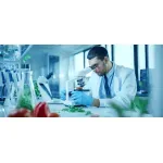 Pós-Graduação em Análises Laboratoriais em Alimentos e Bebidas - PG PGAL 2025/2 INT1