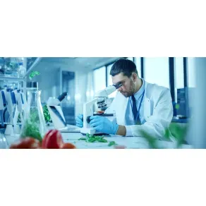 Pós-Graduação em Análises Laboratoriais em Alimentos e Bebidas - PG PGAL 2025/2 INT1