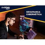 ThumbSeg.Cibernetica-300x225