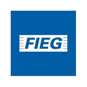 Tecnico-Em-Seguranca-Do-Trabalho---GO|16713|982067