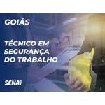 Tecnico-Em-Seguranca-Do-Trabalho---GO|16713|982495
