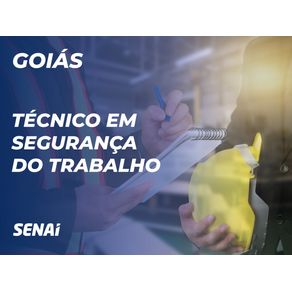 Tecnico-Em-Seguranca-Do-Trabalho---GO|16713|982495