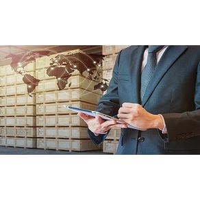 Pos-graduacao-Lato-Sensu---Mba-Em-Gestao-Da-Logistica---GO|19529|19529