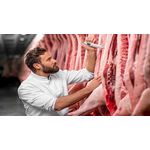 Auditoria-Interna-De-Sistemas-De-Gestao-De-Qualidade-E-De-Seguranca-De-Alimentos---GO|16184|16184